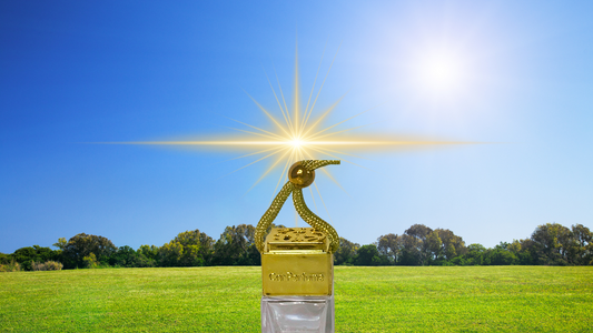 THE PERFECT DAY Car Freshener .27 oz.